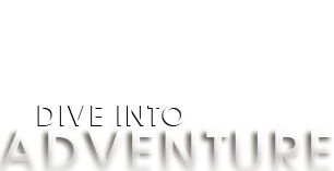 Atlanta Helicopter Shuttle